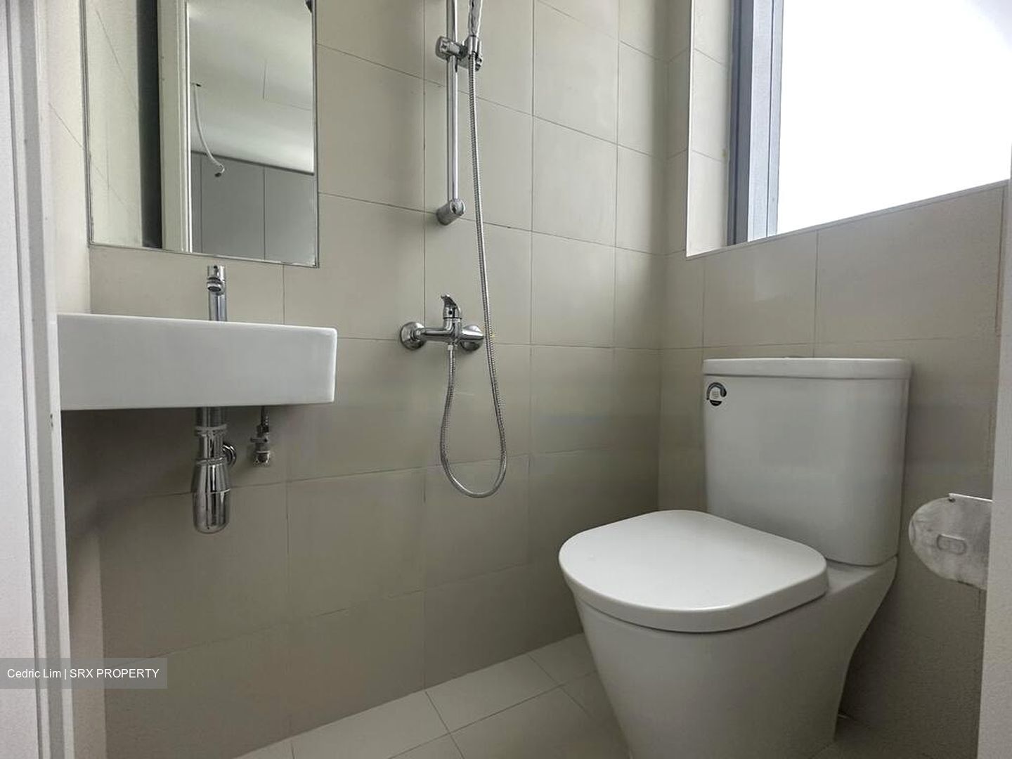 Amber Park (D15), Condominium #455497881